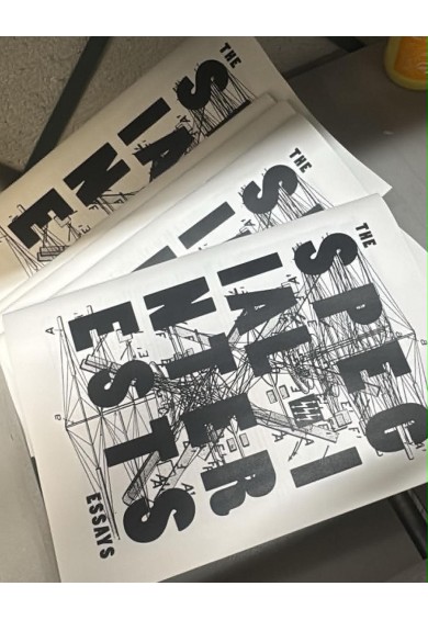 SPECIAL INTERESTS "The Essays" zine